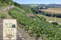 Lutz Granert präsentiert: Wohlfühlwege zwischen Saale und Unstrut - Wandern für die Seele