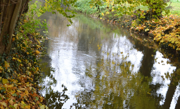 Pfortenser Alpaka-Wanderung