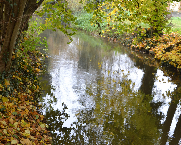 Pfortenser Alpaka-Wanderung