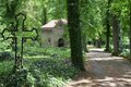 Sonderführung "Der Naumburger Domfriedhof"