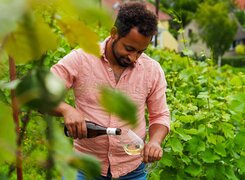 Naumburg-Weingut-Winzerbar-Portrait