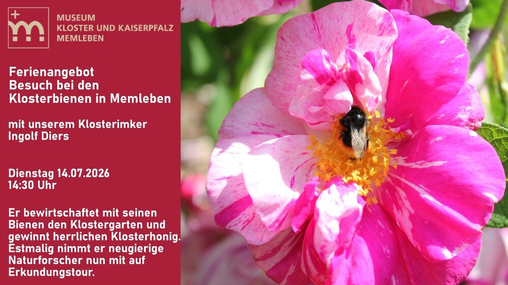 Ferienangebot: Besuch bei den Klosterbienen in Memleben 