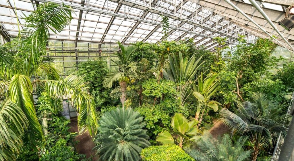 Botanischer Garten Jena_Christoph Worsch