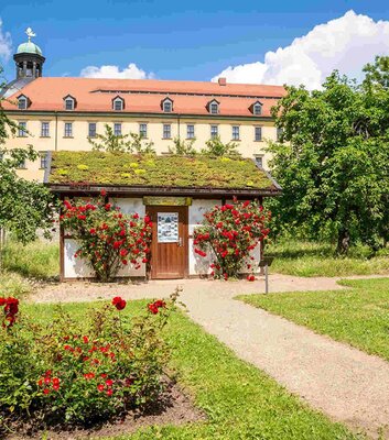 Gartentraum Schlosspark Moritzburg