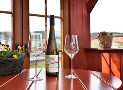 Freyburg-Weinhof-Ehrau-12-Wein-Gastraum
