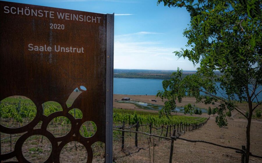 Geiseltalsee Aussicht am Weinberg Goldener Steiger, gekürt 2020 zur Schönsten Weinsicht Saale-Unstrut.