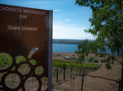 Geiseltallsee-Weinberg-Goldener-Steiger-Weinsicht-2020