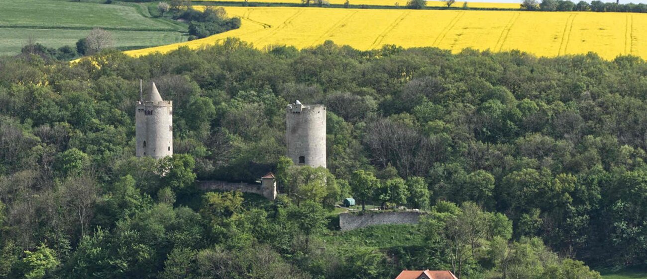 Burg Saaleck vorm Rapsfeld