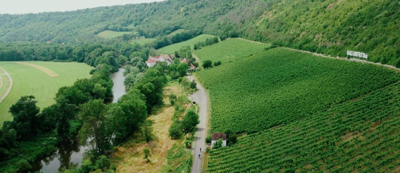 Saalhäuser Weinberge mit Radfahrenden auf dem Saaleradweg neben der Saale bei Bad Kösen