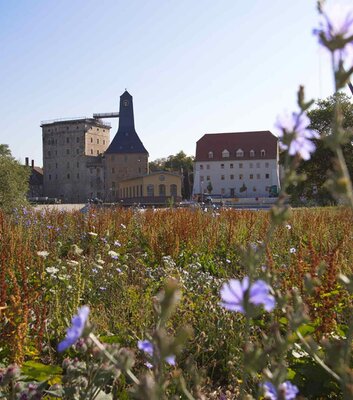 Das Borlachmuseum und Altes Salzamt