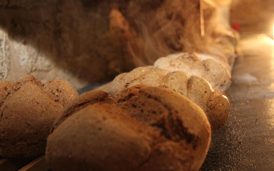 Frisch und natürlich gebackenes Brot aus dem Hofladen Nr.5 in Kleinromstedt.