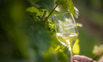 Saale-Weinmeile 2026