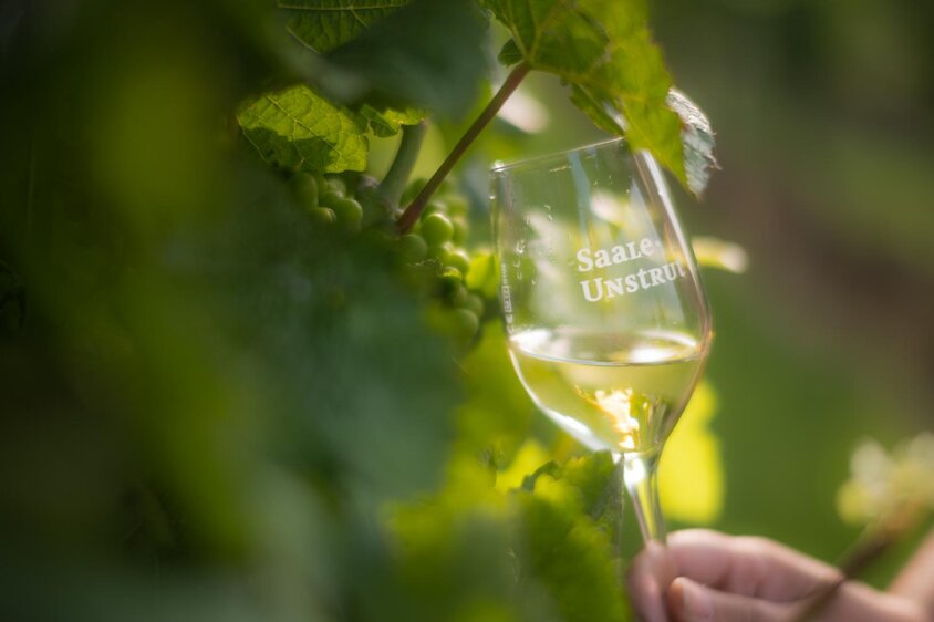 Saale-Weinmeile 2026