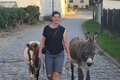 Spaziergang mit Eseln (und Ponys)