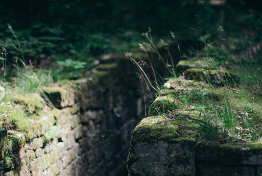 Pirschgänge in der Jagdanlage Rieseneck, Mauern mit Moosbewuchs