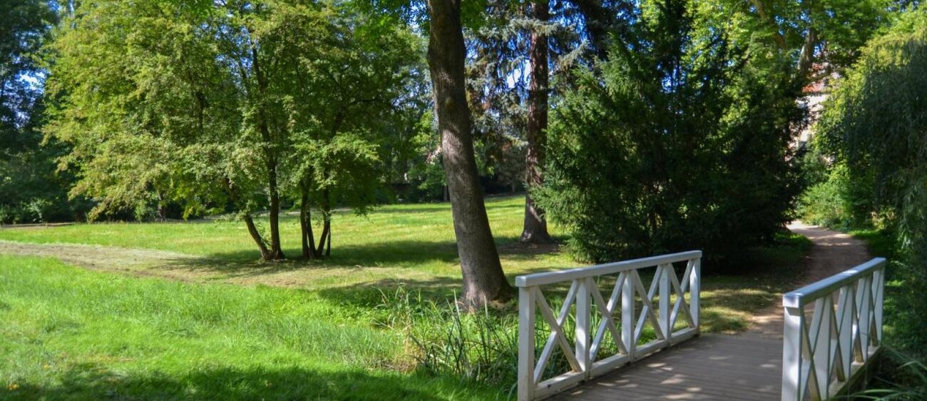 Park Dieskau