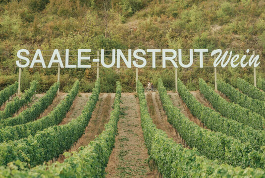 Saalhäuser Weinberge mit dem weithin sichtbaren Schriftzug "Saale-Unstrut-Wein"