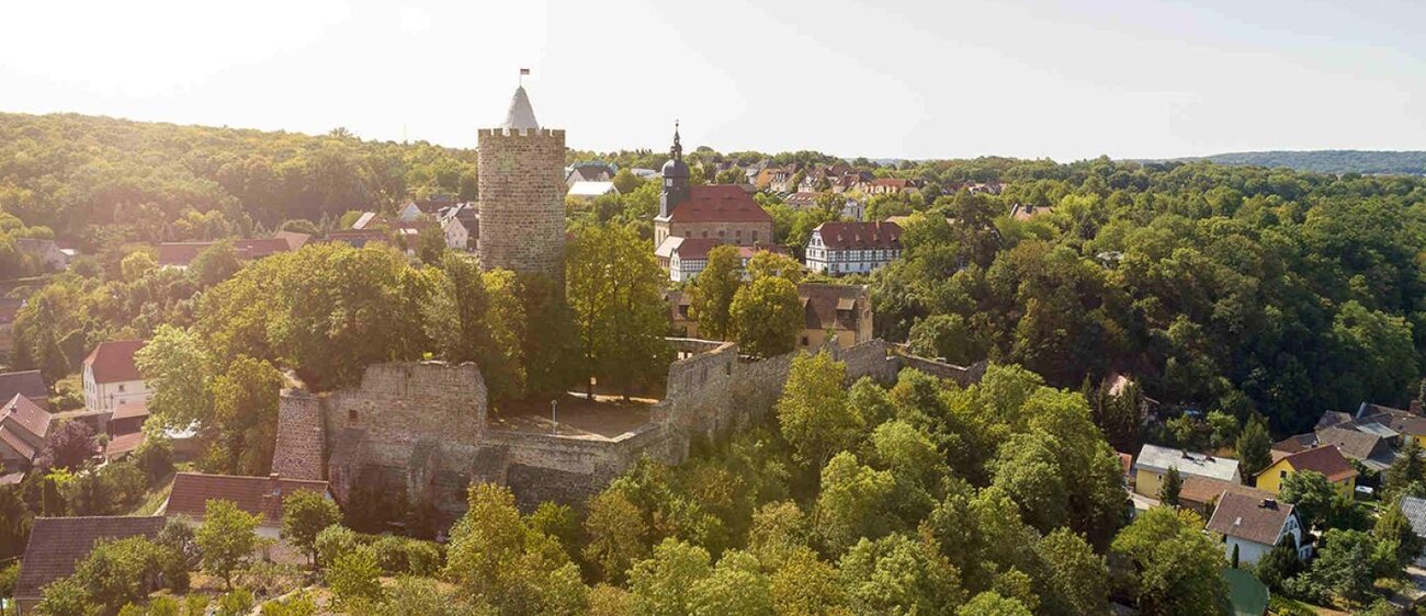 Blick auf die Burg Schönburg