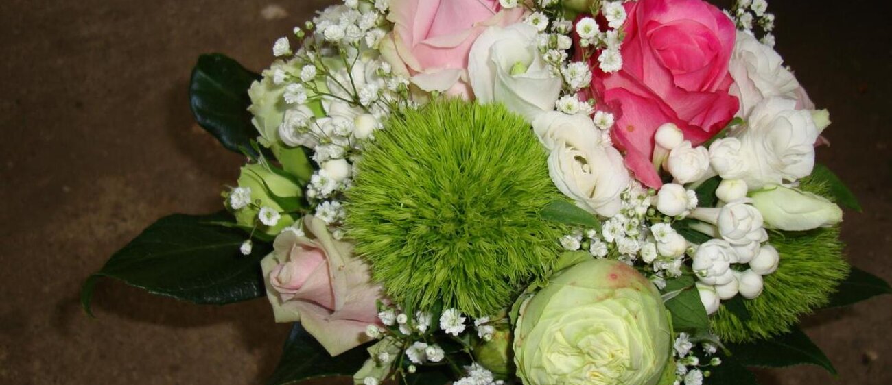 Eine Angebotsauswahl und einige Eindrücke des Pflanzenhof Zöthen.