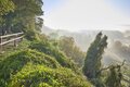 Herbstwanderung – Archäologie, Wein & Natur erleben
