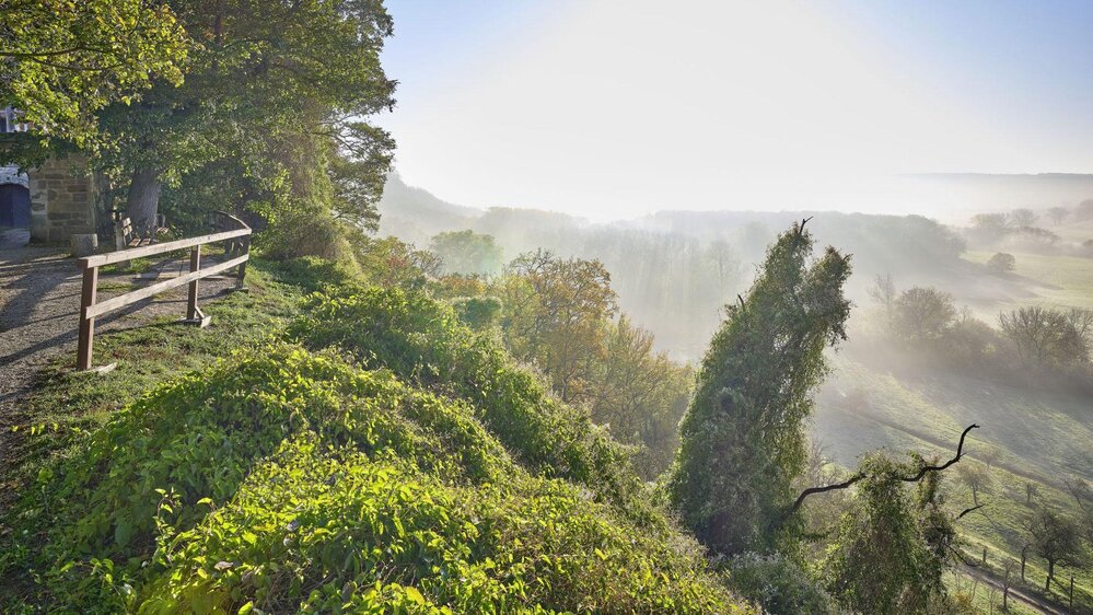 Herbstwanderung – Archäologie, Wein & Natur erleben