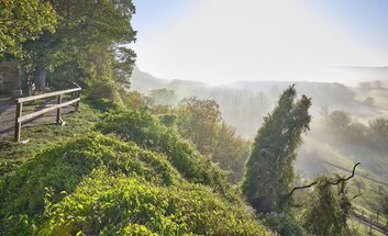 Herbstwanderung – Archäologie, Wein & Natur erleben