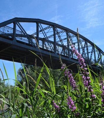 Carl-Alexander-Brücke