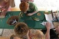 Familiennachmittag: Der kleine Prinz von Großgörner