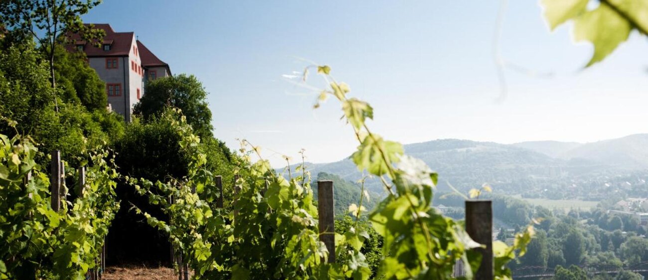 Blick von Weinberg auf Altes Schloss Dornburger Schlösser-Dornburg