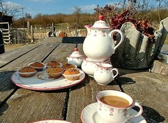 Salzatal-Devils-Stone-Alpacas-Café