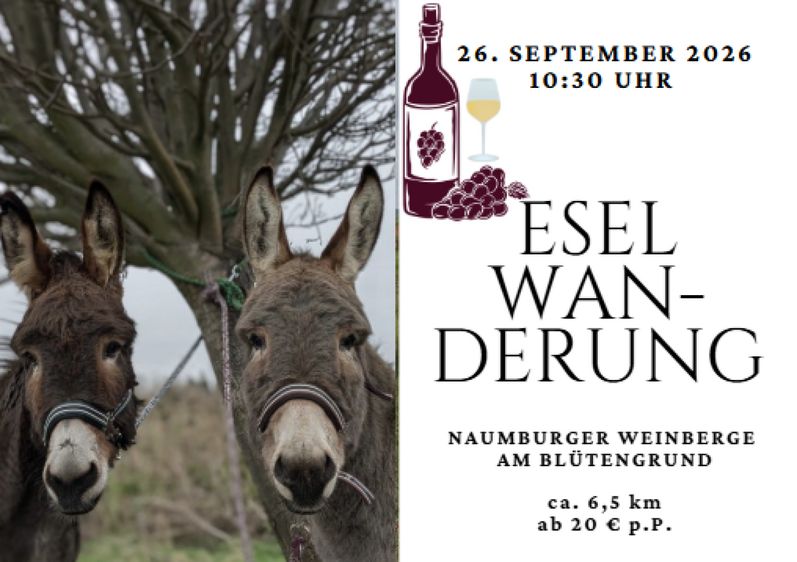 Eselwanderung in den Naumburger Weinbergen am Blütengrund