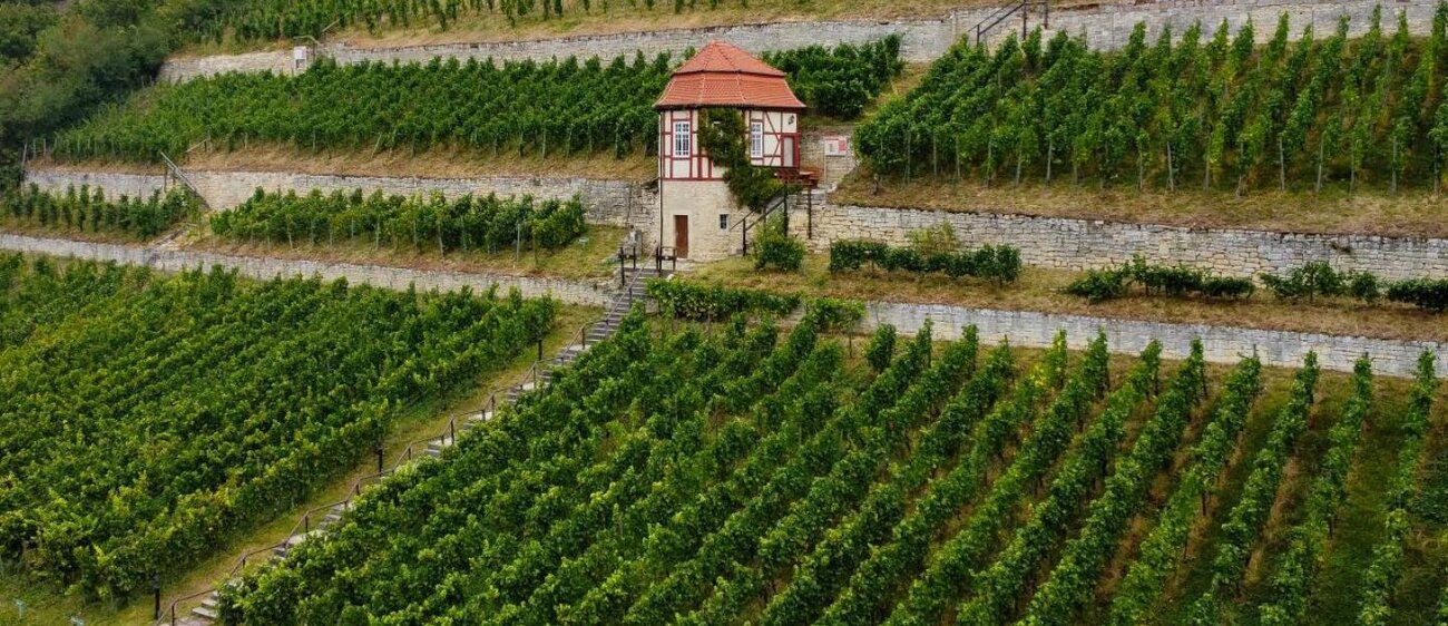 Herzoglicher Weinberg Freyburg