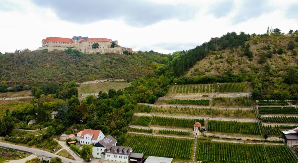 Blütengrund bei Naumburg