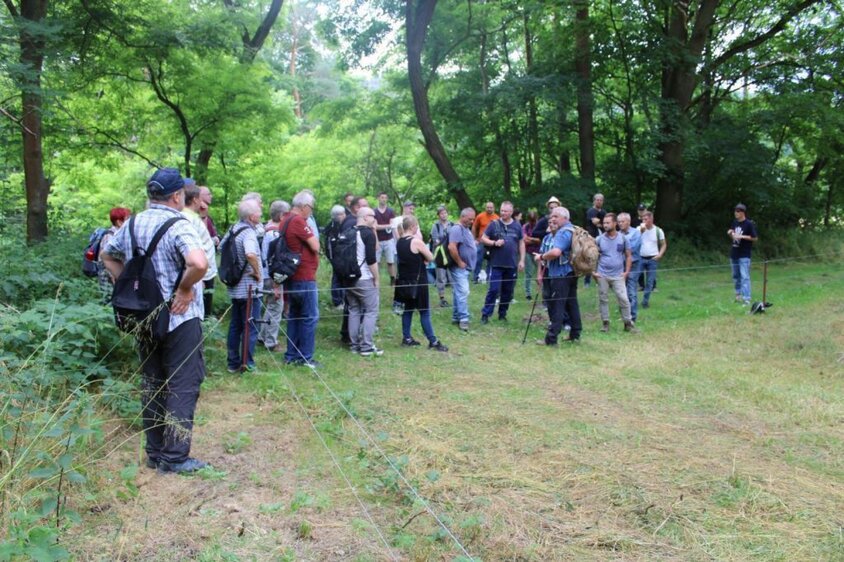 Führung über und um den Walpersberg: Geschichte, Natur und Erinnerung