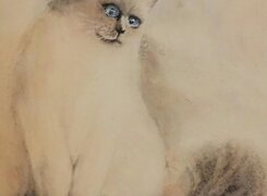 Naumburg-Anita-Wolff-Aquarell-2
