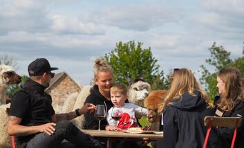 Kindergeburtstag bei Adams Alpaka Farm