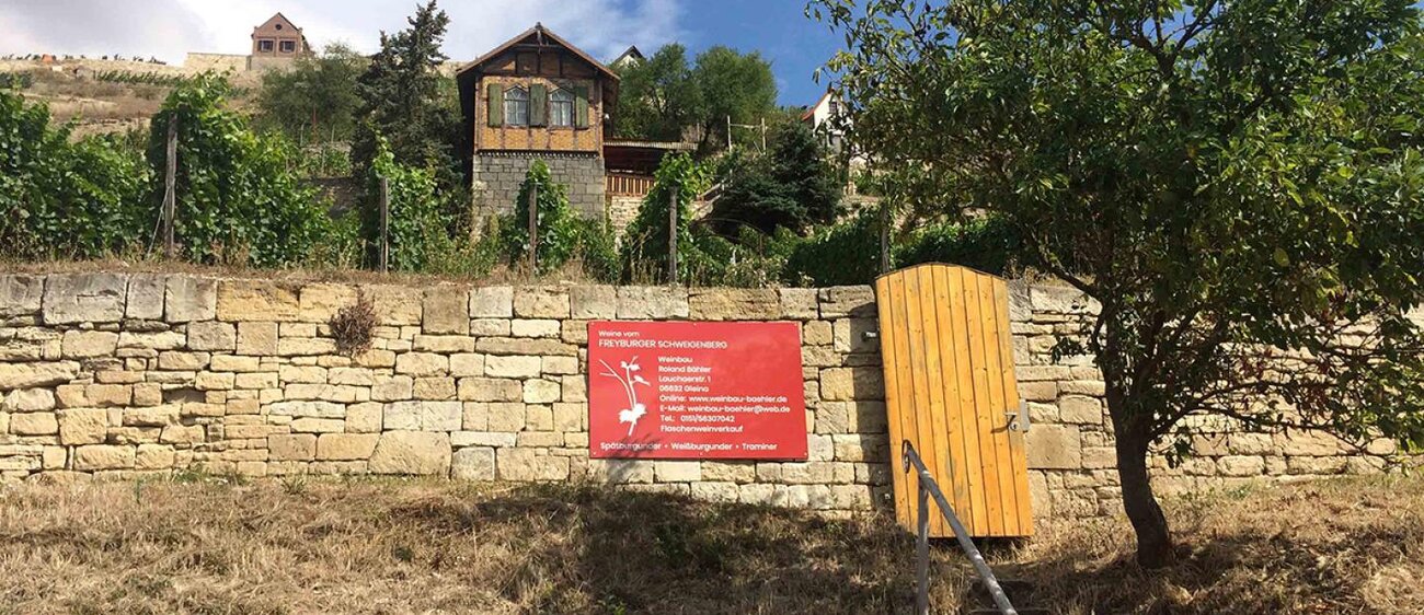 Blick zur Weinberghütte