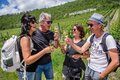Weingenuss in den Saalhäuser Weinbergen