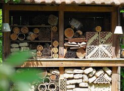 Nebra-Bienenlehrgarten-Unterschlupf