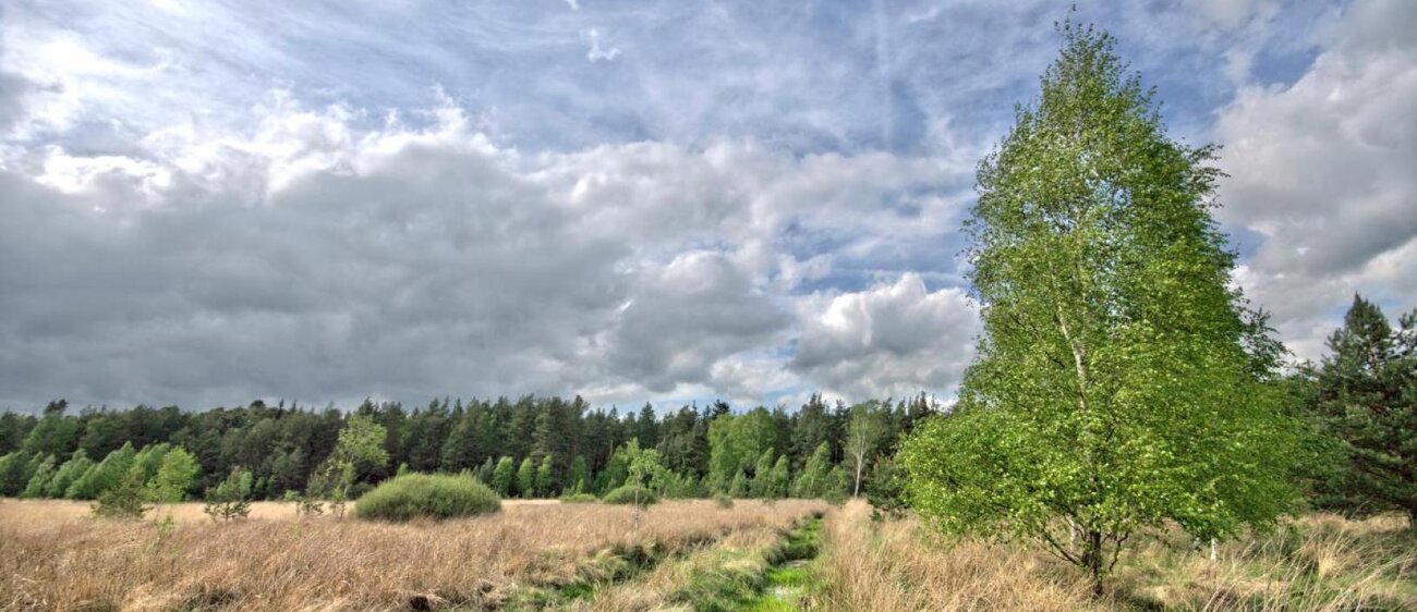 The Red Puddle is a body of water in the Klosterlausnitz Moor