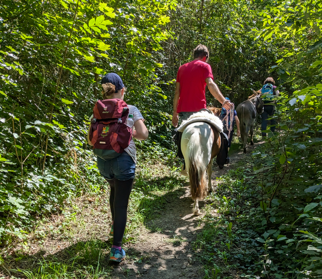 kleine Tour zum Kloster Pforta mit Klosterführung