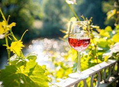 Kaatschen-Thüringer-Weinstube-Weinblick