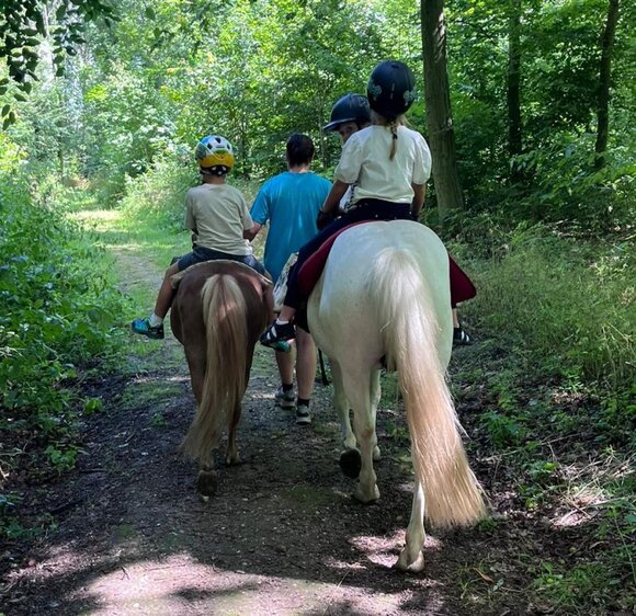 öffentliches Ponyreiten