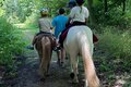 öffentliches Ponyreiten