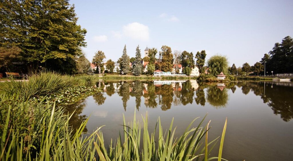 Gondelteich in Bad Klosterlausnitz mit der Klosterkirche im Hintergrund