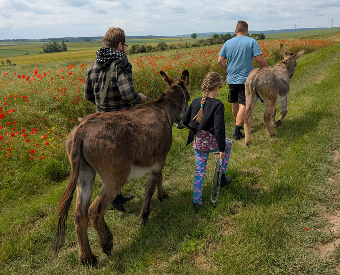 Eselwanderung in den Naumburger Weinbergen