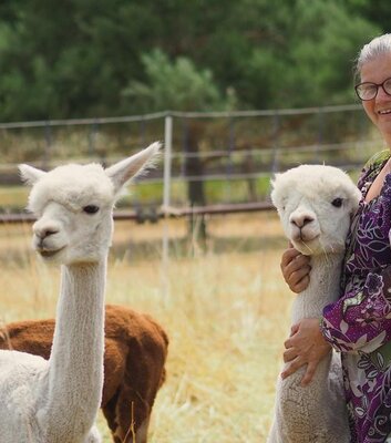 Devils Stone Alpacas