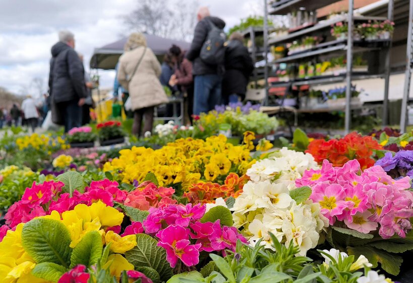 Frühlingsmarkt im Schlosspark Moritzburg Zeitz
