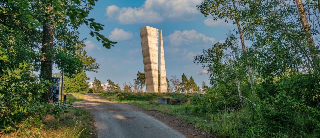 Der Fundort der Himmelsscheibe bei Wangen mit dem Aussichtsturm am Mittelberg.