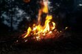 Feuermachen im Wald